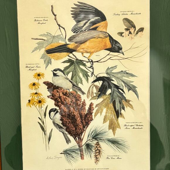 Vintage Arthur Singer framed art print #8 illustration Chikadee birds & flowers - Picture 8 of 10